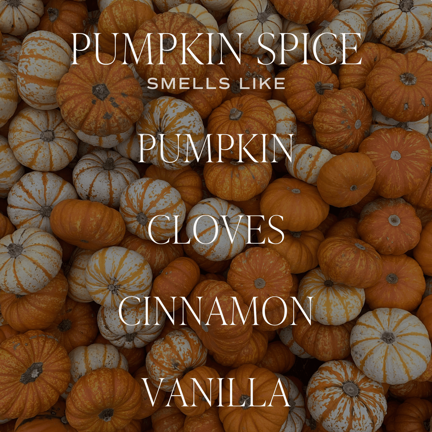 PUMPKIN SPICE SOY CANDLE