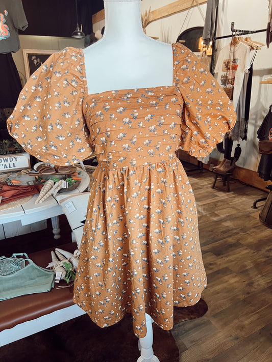 RUSTIC ELEGANCE DRESS